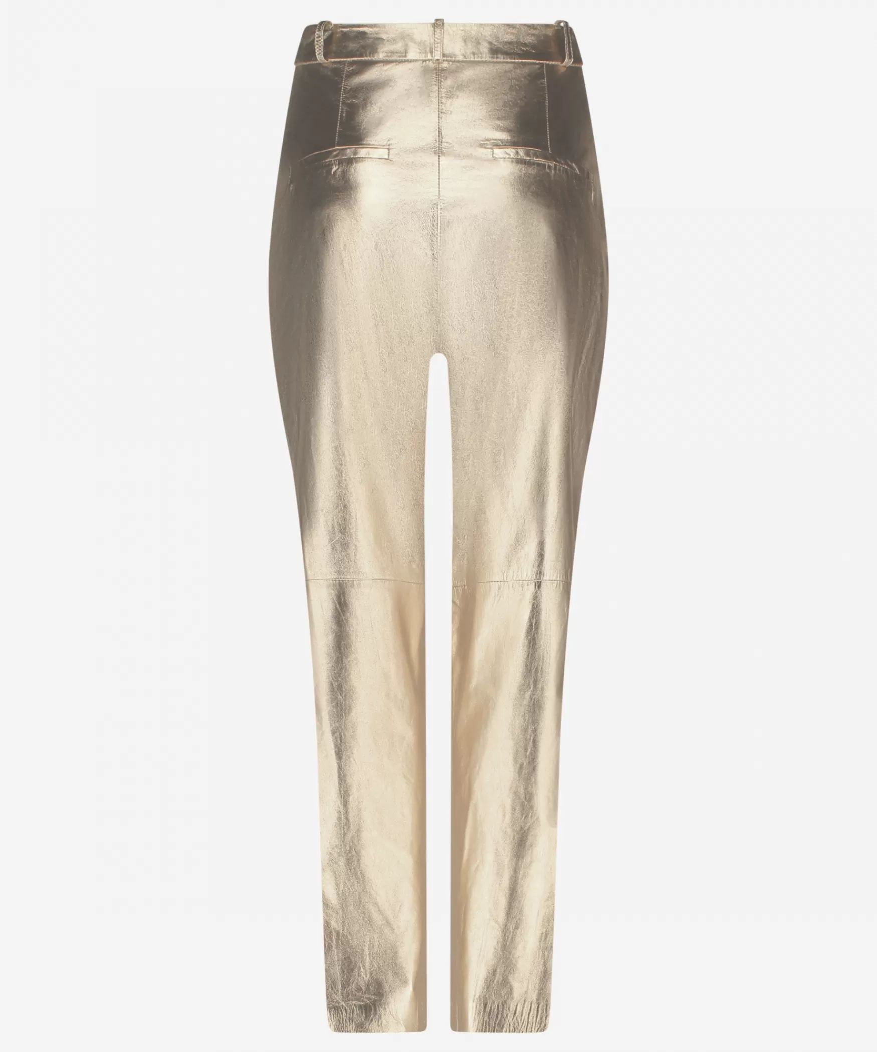 perfecta_metallic__soft_gold_24287.webp IBANA Perfecta Metallic | Soft gold< High Waist | Wide Fit
